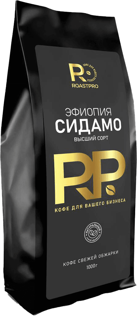 RoastPro Logo